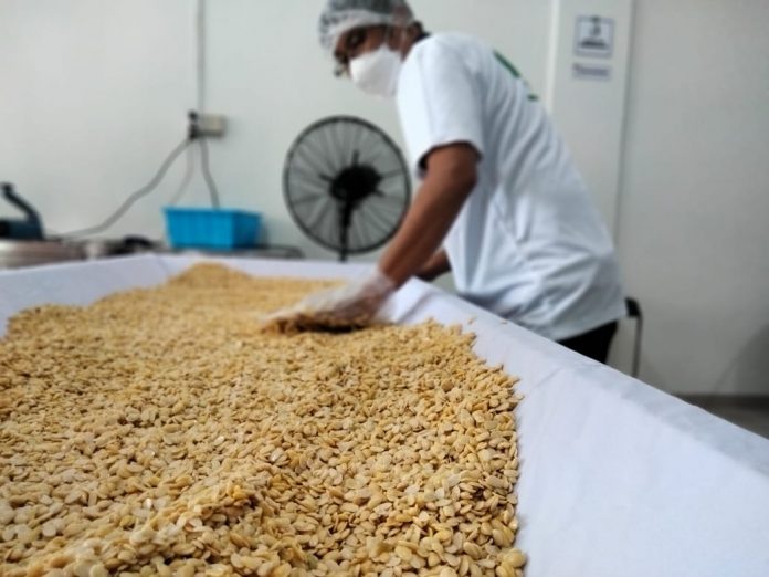 Buka Cabang di Batam, Menikmati Makanan Sehat, Bergizi, dan Higienis Produksi Love Tempe Organik_621b0c85d1a8f.jpeg