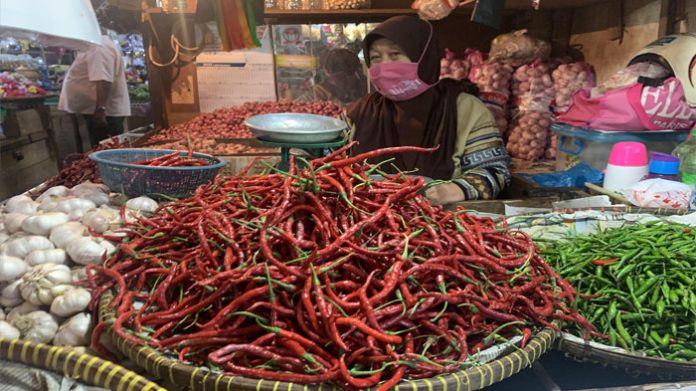 Kita Pajang Tidak Terlalu Banyak, Harga Cabai Merah di Tanjungpinang Tembus Rp 50 Ribu per Kilo_6219bb2033f03.jpeg