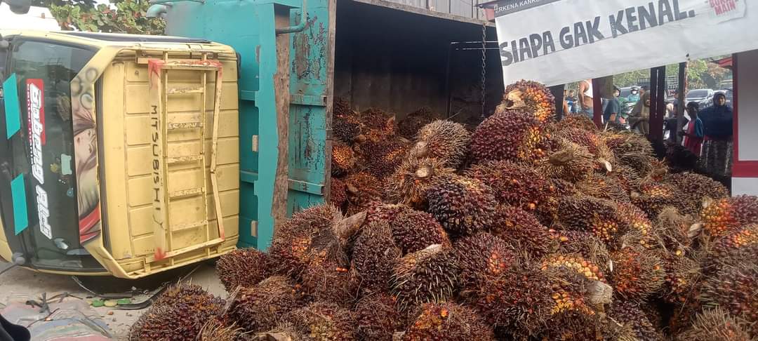 Truk Bermuatan Tbs Kelapa Sawit Terbalik Di Sebanga Duri Centralnews