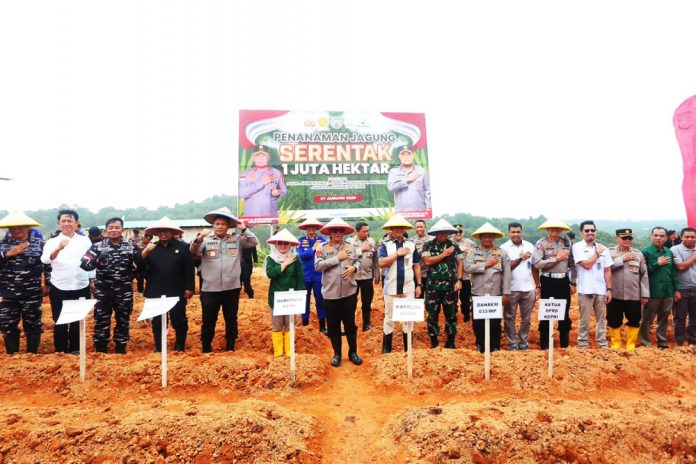 Dukung Ketahanan Pangan Nasional, Kapolda Kepri Pimpin Penanaman 30.000 Bibit Jagung_6794a16052da2.jpeg