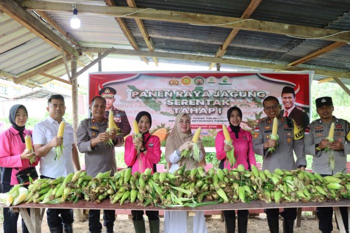 Polres Natuna Panen Jagung Perdana, Wujud Nyata Dukungan untuk Ketahanan Pangan_67c159c56537f.jpeg