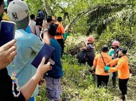 Geger! Warga Kecamatan Pinggir Temukan Mayat Membusuk di Kanal Perkebunan Sawit