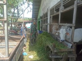 Babinsa Koramil 03/Mandau Gencarkan Sosialisasi Pencegahan Wabah PMK di Kelurahan Duri Barat